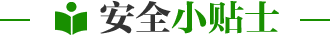 ȫСʿ