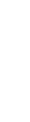 ˲